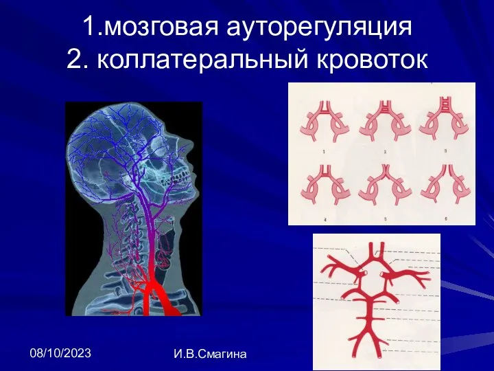 08/10/2023 И.В.Смагина 1.мозговая ауторегуляция 2. коллатеральный кровоток