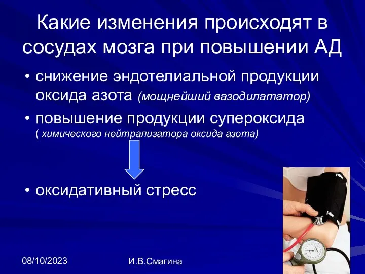 08/10/2023 И.В.Смагина Какие изменения происходят в сосудах мозга при повышении АД