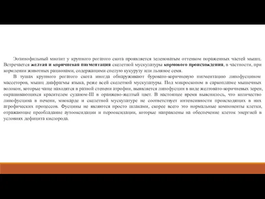 Эозинофильный миозит у крупного рогатого скота проявляется зеленоватым оттенком пораженных частей