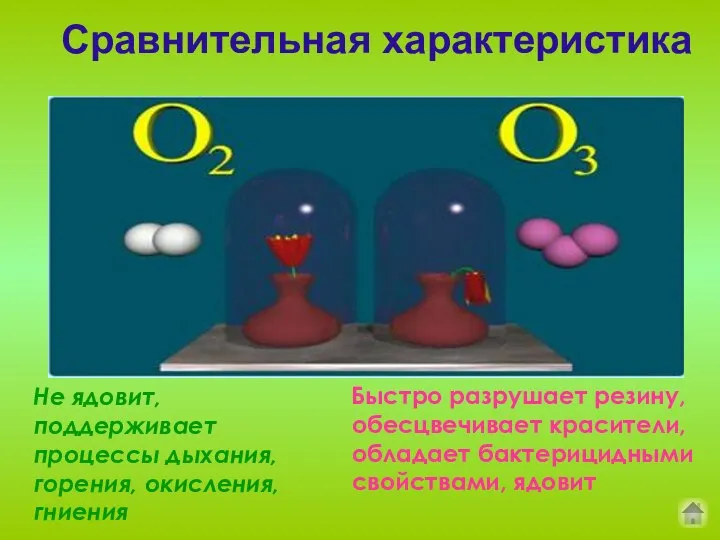 Не ядовит, поддерживает процессы дыхания, горения, окисления, гниения Быстро разрушает резину,