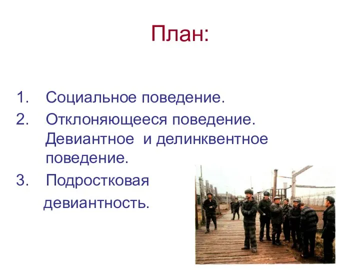 План: Социальное поведение. Отклоняющееся поведение. Девиантное и делинквентное поведение. Подростковая девиантность.