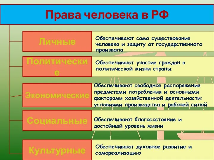 Права человека в РФ Личные Политические Экономические Социальные Культурные Обеспечивают само