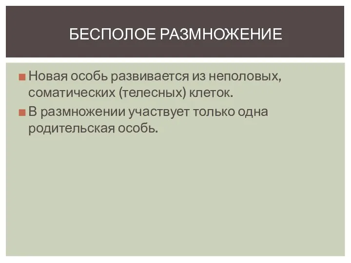 Новая особь развивается из неполовых, соматических (телесных) клеток. В размножении участвует