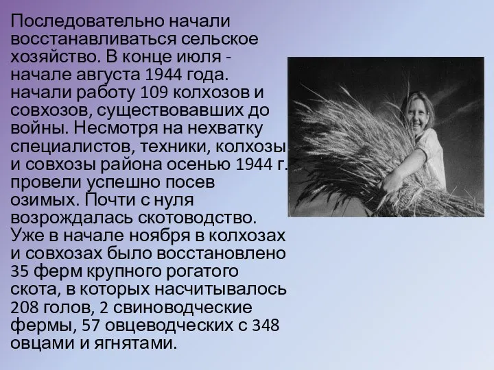 Последовательно начали восстанавливаться сельское хозяйство. В конце июля - начале августа