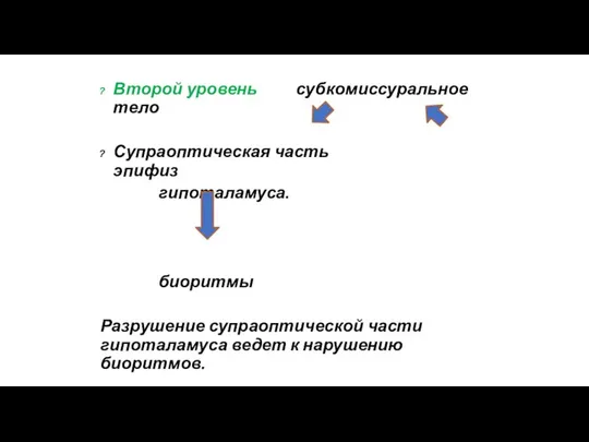 Второй уровень субкомиссуральное тело Супраоптическая часть эпифиз гипоталамуса. биоритмы Разрушение супраоптической