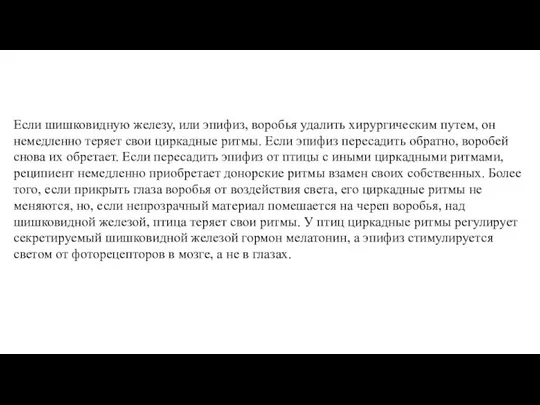 Если шишковидную железу, или эпифиз, воробья удалить хирургическим путем, он немедленно