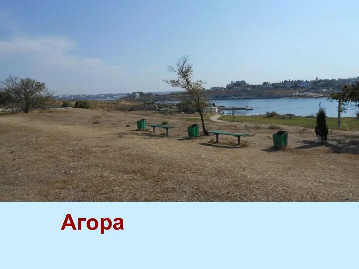 Агора