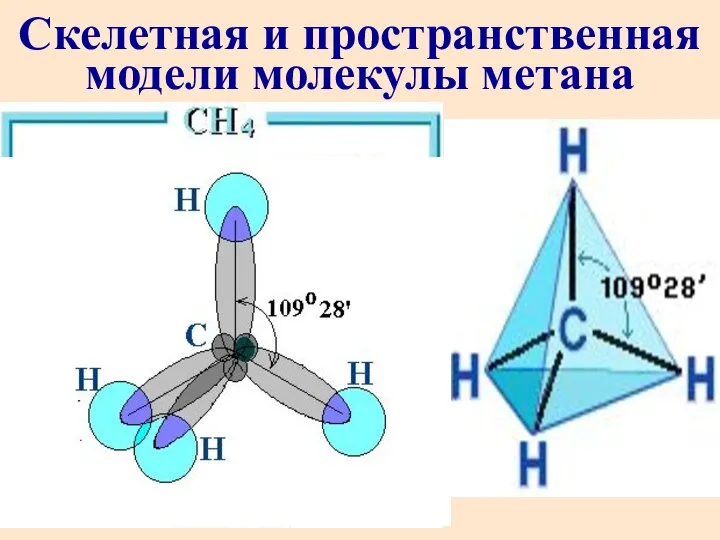 Скелетная и пространственная модели молекулы метана