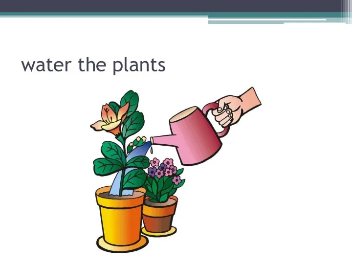 water the plants