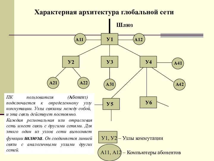 Характерная архитектура глобальной сети У1, У2 – Узлы коммутации А11, А12