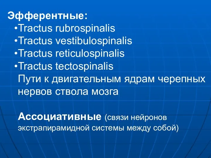 Эфферентные: Tractus rubrospinalis Tractus vestibulospinalis Tractus reticulospinalis Tractus tectospinalis Пути к