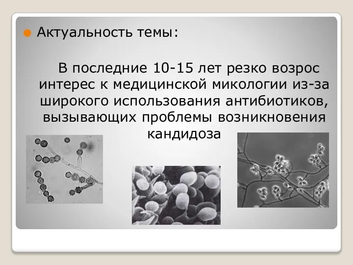 Актуальность темы: В последние 10-15 лет резко возрос интерес к медицинской