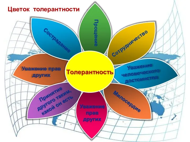 Сотрудничество Прощение Цветок толерантности