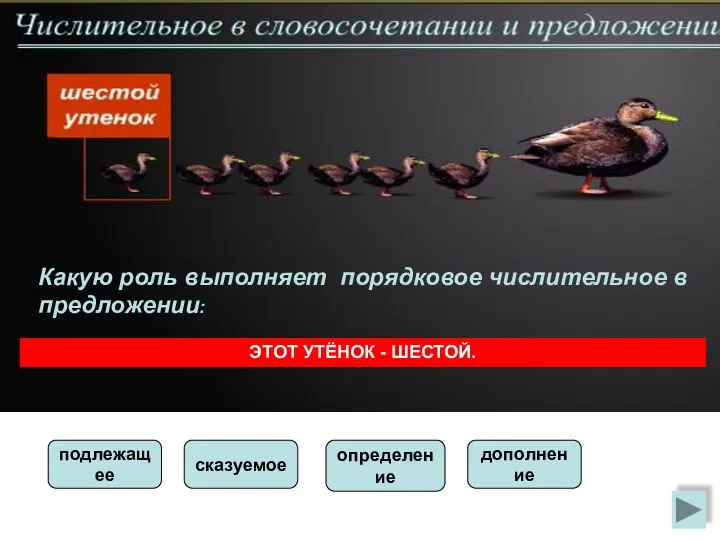 Какую роль выполняет порядковое числительное в предложении: ЭТОТ УТЁНОК - ШЕСТОЙ. подлежащее сказуемое определение дополнение