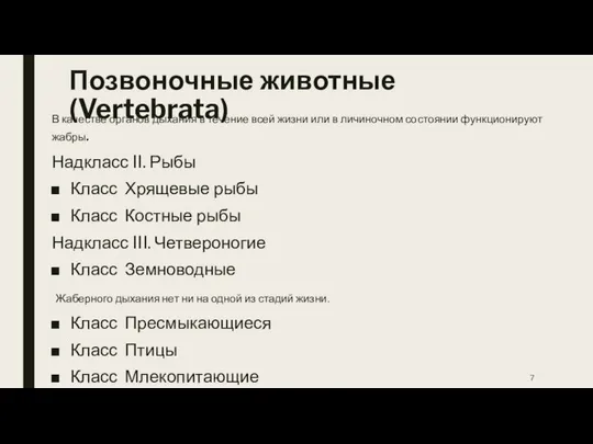 Позвоночные животные (Vertebrata) В качестве органов дыхания в течение всей жизни