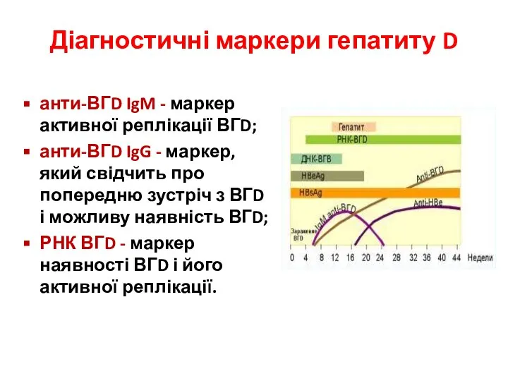 Діагностичні маркери гепатиту D анти-ВГD IgM - маркер активної реплікації ВГD;