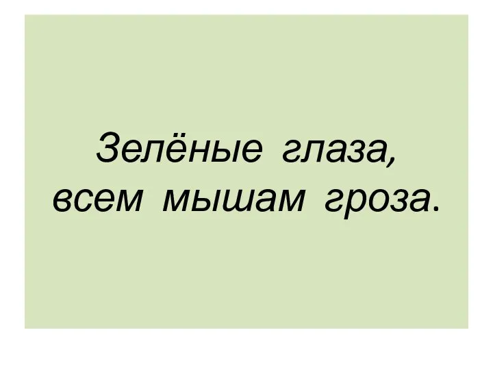 Зелёные глаза, всем мышам гроза.