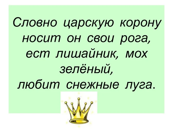 Словно царскую корону носит он свои рога, ест лишайник, мох зелёный, любит снежные луга.