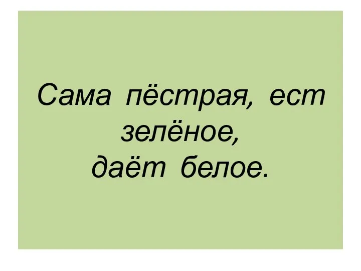 Сама пёстрая, ест зелёное, даёт белое.