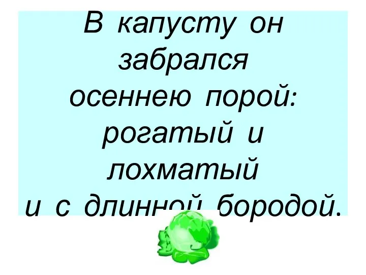 В капусту он забрался осеннею порой: рогатый и лохматый и с длинной бородой.