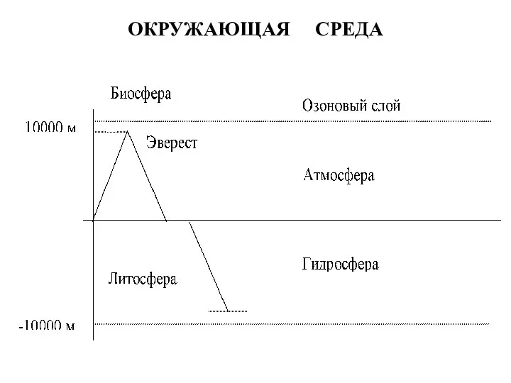 ОКРУЖАЮЩАЯ СРЕДА