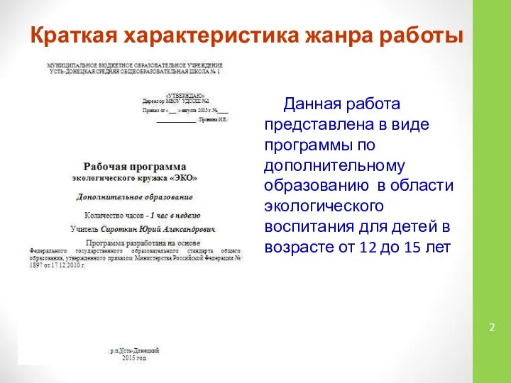 Краткая характеристика жанра работы Данная работа представлена в виде программы по