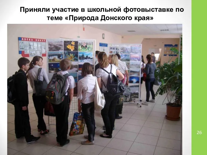 Приняли участие в школьной фотовыставке по теме «Природа Донского края»