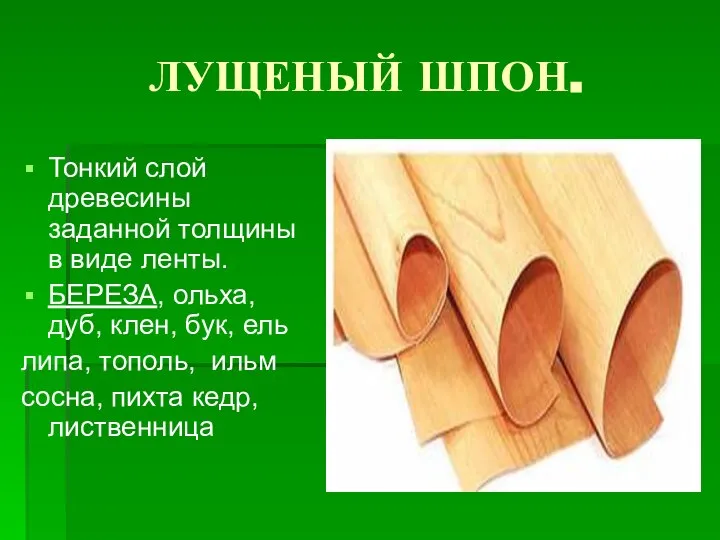 ЛУЩЕНЫЙ ШПОН. Тонкий слой древесины заданной толщины в виде ленты. БЕРЕЗА,