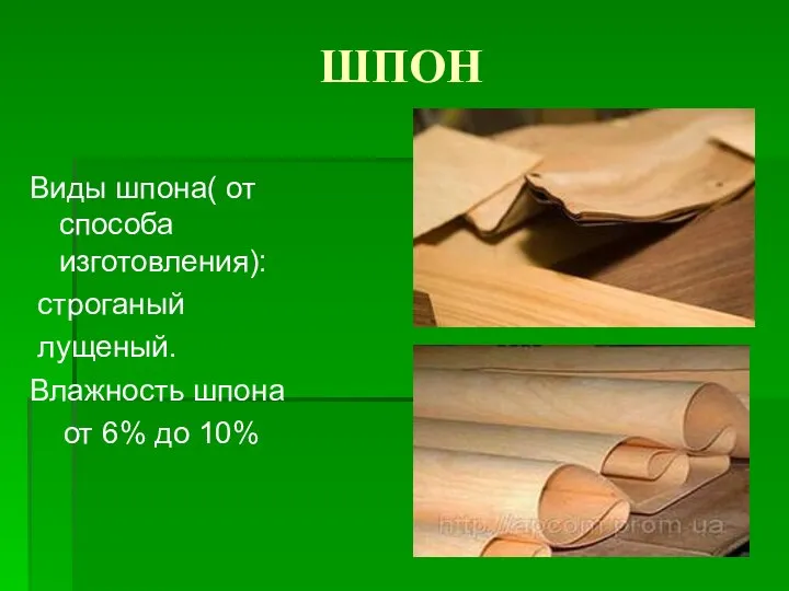 ШПОН Виды шпона( от способа изготовления): строганый лущеный. Влажность шпона от 6% до 10%