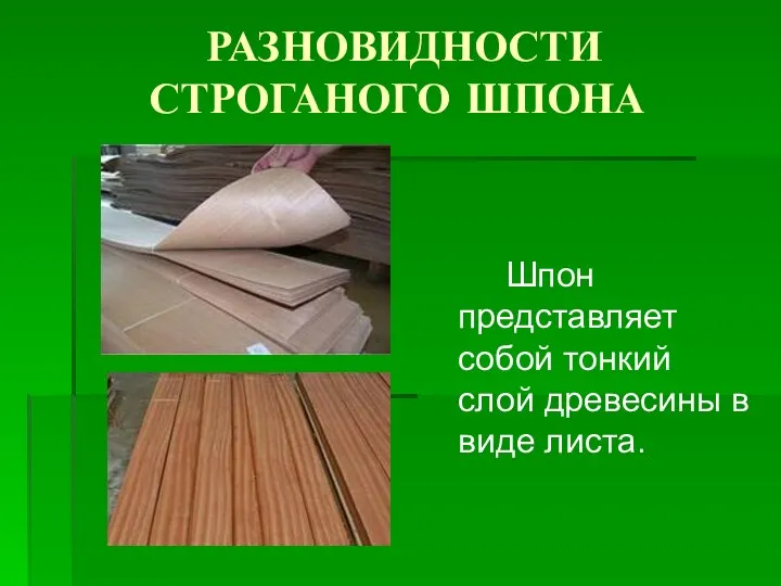 РАЗНОВИДНОСТИ СТРОГАНОГО ШПОНА Шпон представляет собой тонкий слой древесины в виде листа.