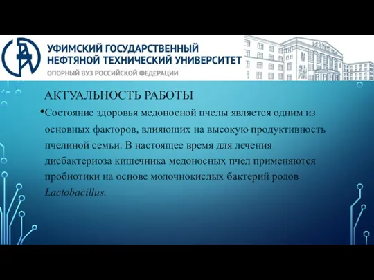 АКТУАЛЬНОСТЬ РАБОТЫ Состояние здоровья медоносной пчелы является одним из основных факторов,