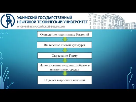 Оживление инактивных бактерий Выделение чистой культуры Окраска по Граму Использование медовых