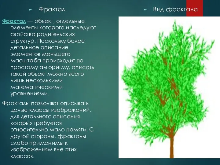 Фрактал. Вид фрактала Фрактал — объект, отдельные элементы которого наследуют свойства