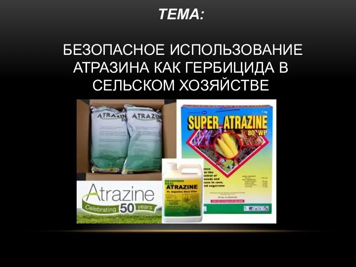 ТЕМА: БЕЗОПАСНОЕ ИСПОЛЬЗОВАНИЕ АТРАЗИНА КАК ГЕРБИЦИДА В СЕЛЬСКОМ ХОЗЯЙСТВЕ