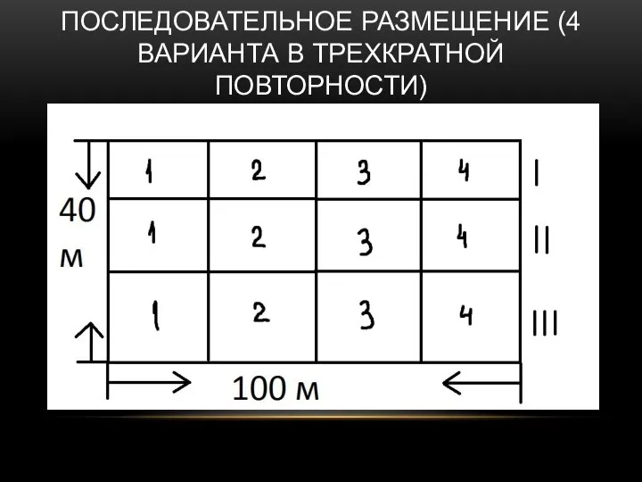 ПОСЛЕДОВАТЕЛЬНОЕ РАЗМЕЩЕНИЕ (4 ВАРИАНТА В ТРЕХКРАТНОЙ ПОВТОРНОСТИ)