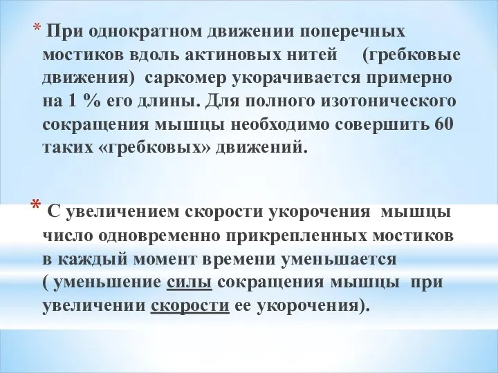 При однократном движении поперечных мостиков вдоль актиновых нитей (гребковые движения) саркомер