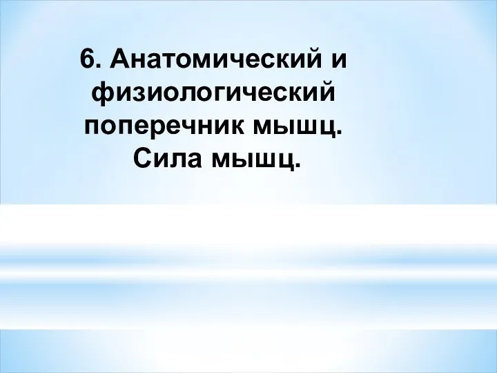 6. Анатомический и физиологический поперечник мышц. Сила мышц.