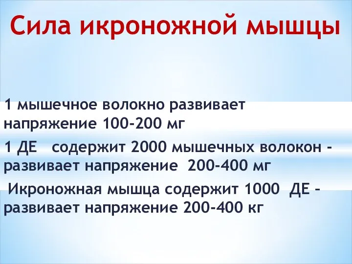 1 мышечное волокно развивает напряжение 100-200 мг 1 ДЕ содержит 2000