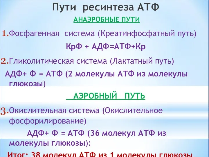 Пути ресинтеза АТФ АНАЭРОБНЫЕ ПУТИ Фосфагенная система (Креатинфосфатный путь) КрФ +