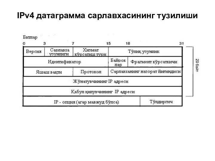 IPv4 датаграмма сарлавхасининг тузилиши