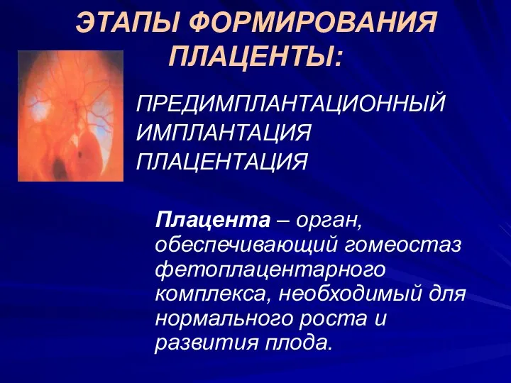 ЭТАПЫ ФОРМИРОВАНИЯ ПЛАЦЕНТЫ: ПРЕДИМПЛАНТАЦИОННЫЙ ИМПЛАНТАЦИЯ ПЛАЦЕНТАЦИЯ Плацента – орган, обеспечивающий гомеостаз