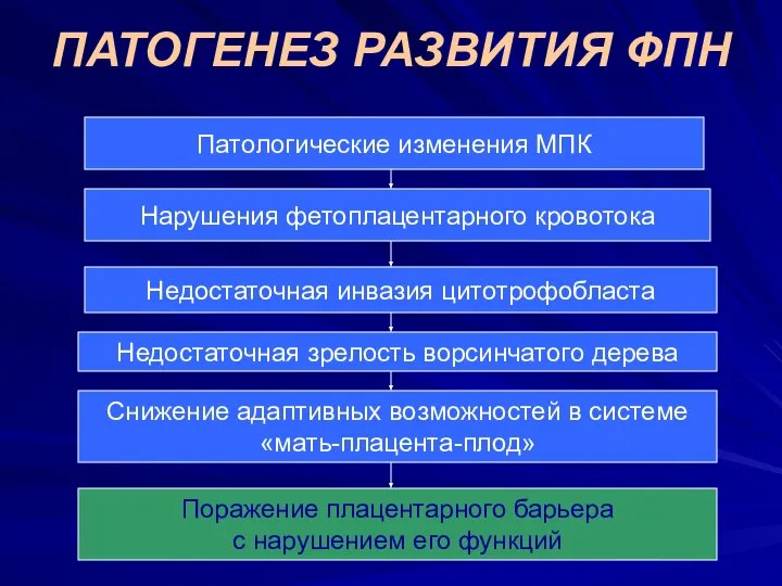 ПАТОГЕНЕЗ РАЗВИТИЯ ФПН Патологические изменения МПК Нарушения фетоплацентарного кровотока Недостаточная инвазия