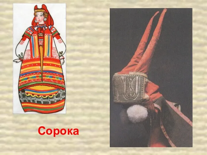 Сорока