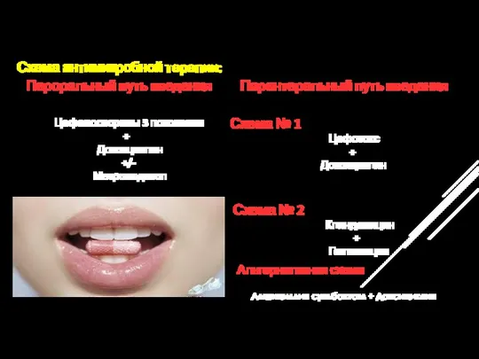 Схема антимикробной терапии: Berman S; Centers for Disease Control and Prevention