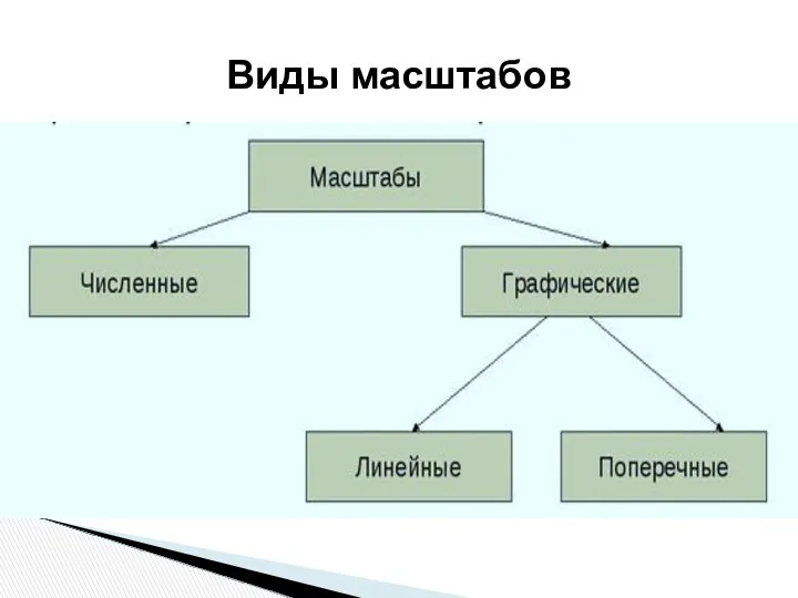 Виды масштабов