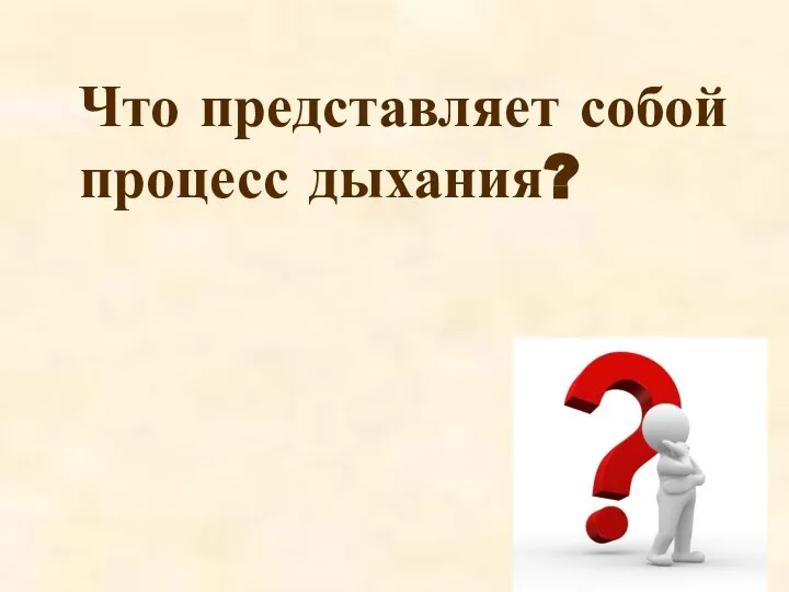 Что представляет собой процесс дыхания?