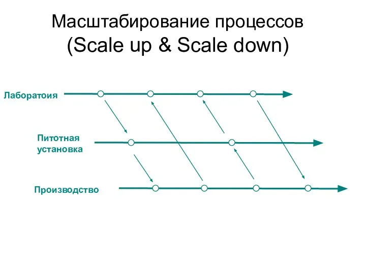 Mасштабированиe процессов (Scale up & Scale down) Производство Лаборатоия Питотная установка
