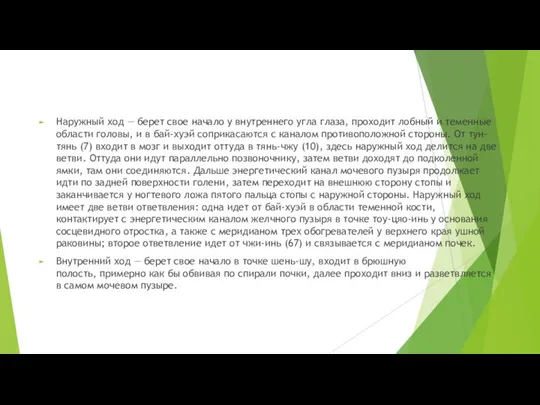 Наружный ход — берет свое начало у внутреннего угла глаза, проходит