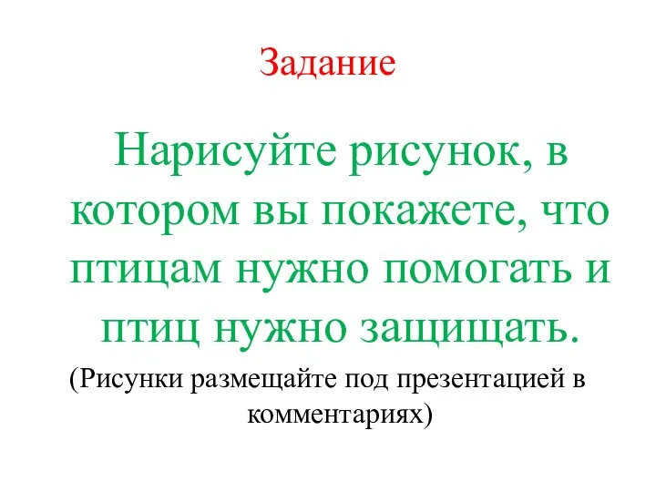 Задание Нарисуйте рисунок, в котором вы покажете, что птицам нужно помогать