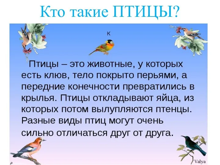 Кто такие ПТИЦЫ?